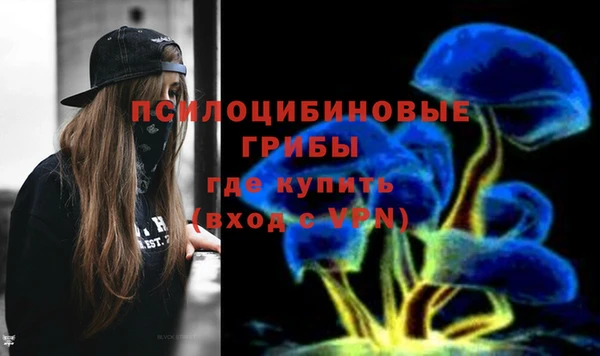 индика Армянск