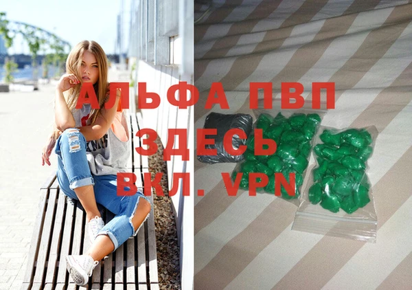 индика Армянск