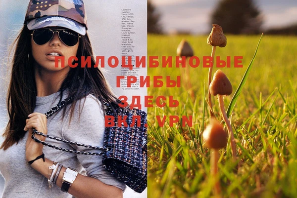 спайс Аркадак
