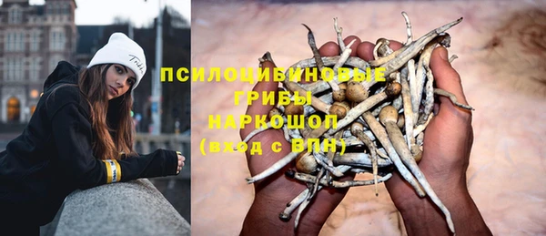дживик Арсеньев