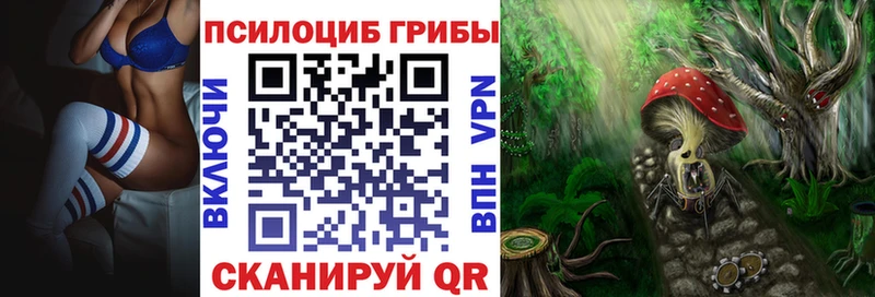 купить наркоту  ОМГ ОМГ маркетплейс  Псилоцибиновые грибы прущие грибы  Бирск 